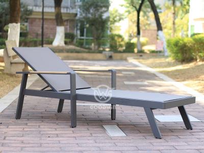 Five Star Hotel Sun Lounger