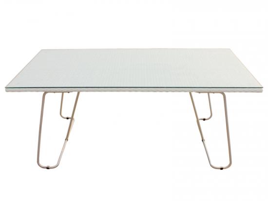 Rectangle Rattan Dining Table With Stainless steel Leg